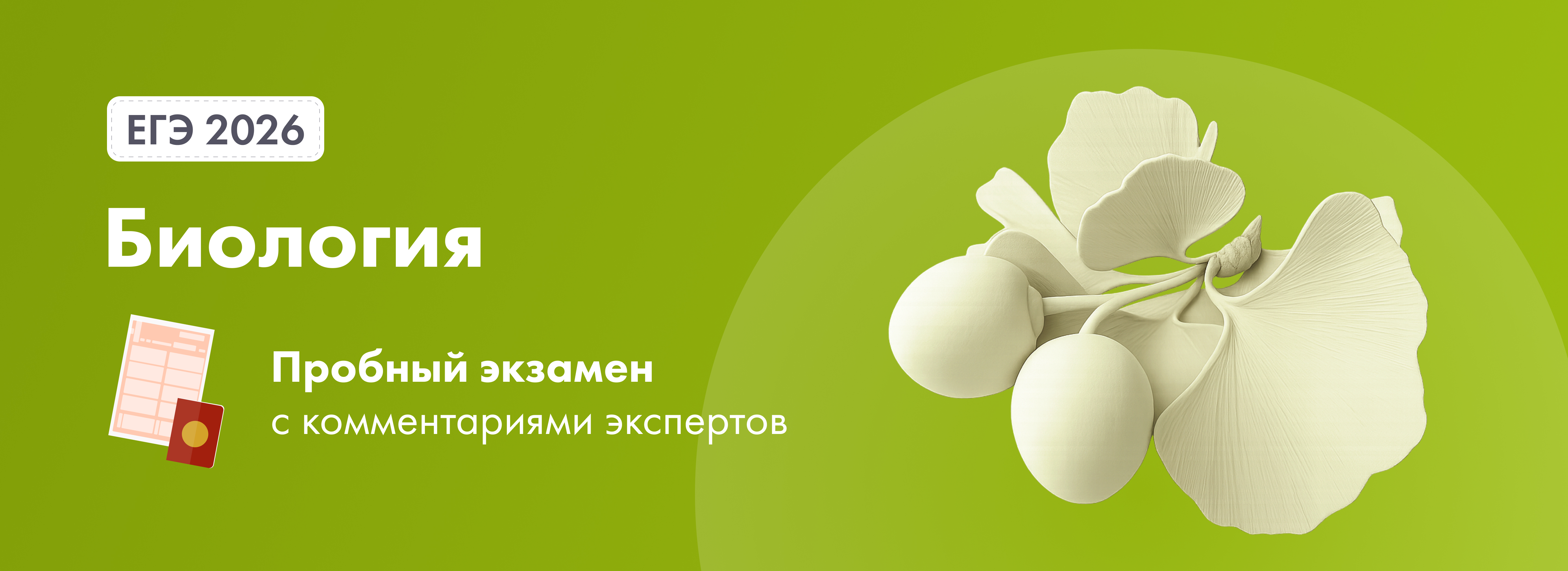 Баннер