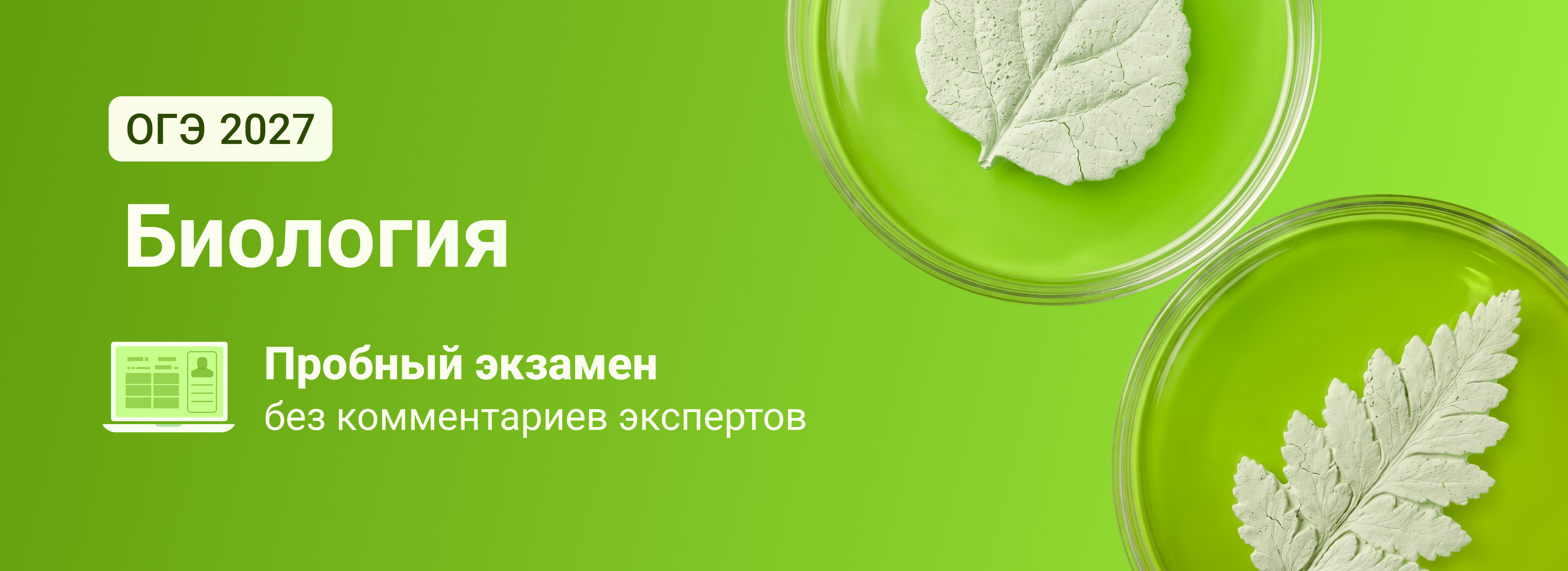 Баннер