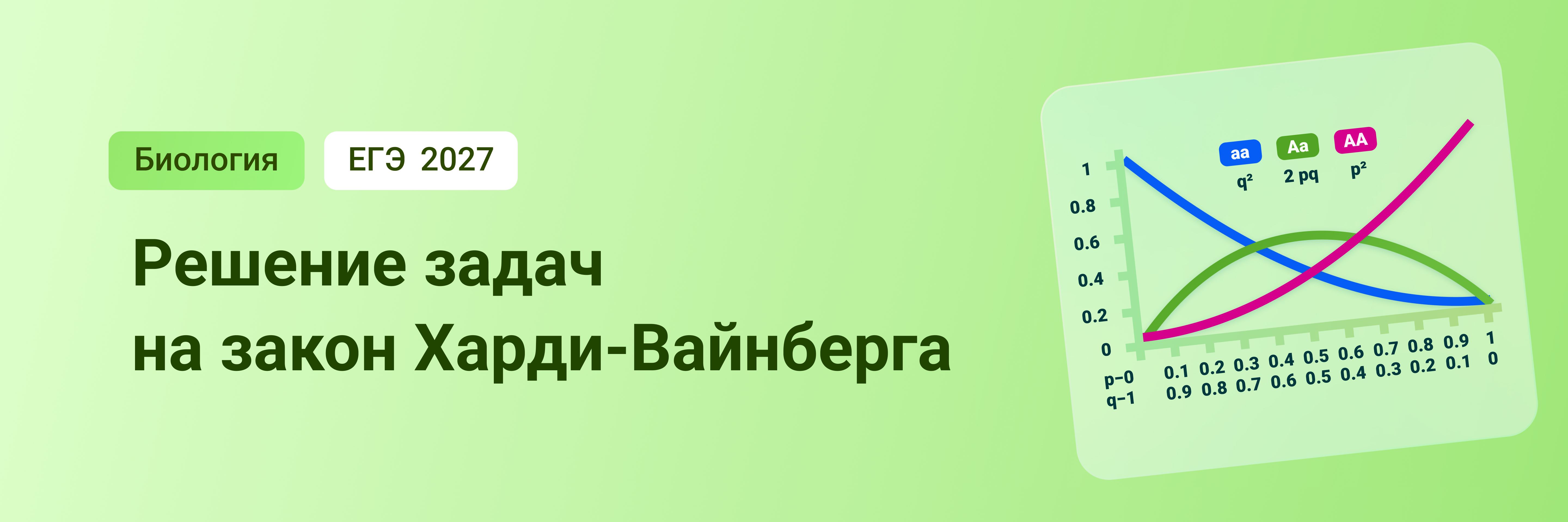 Баннер