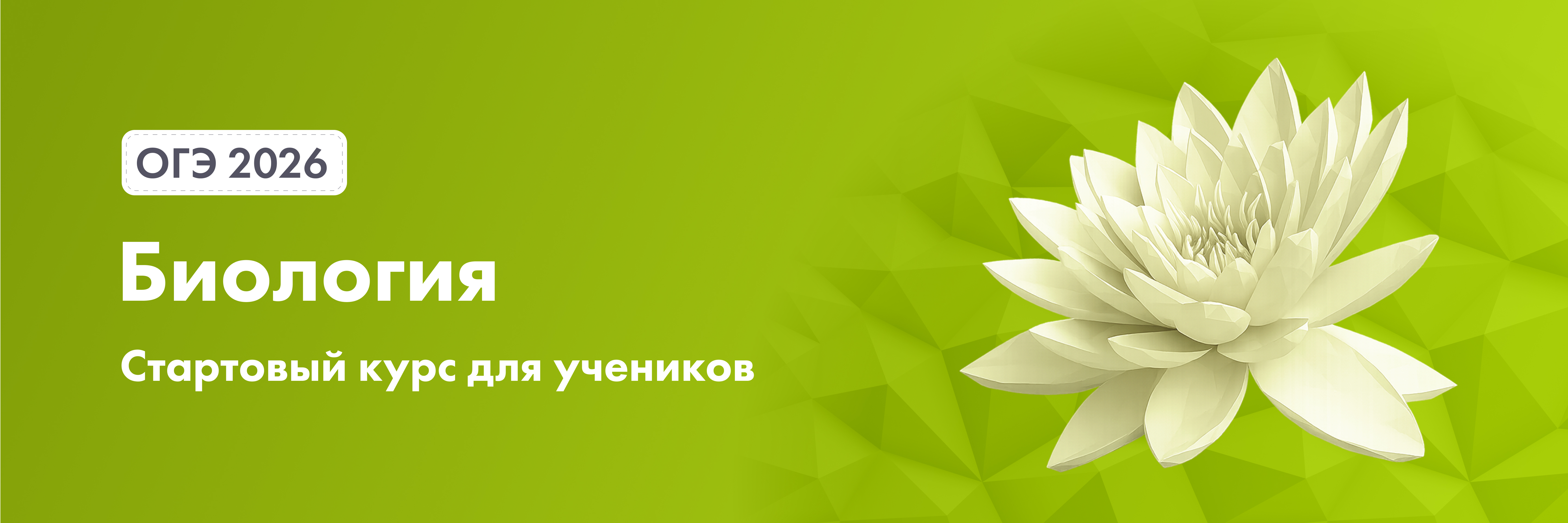 Баннер