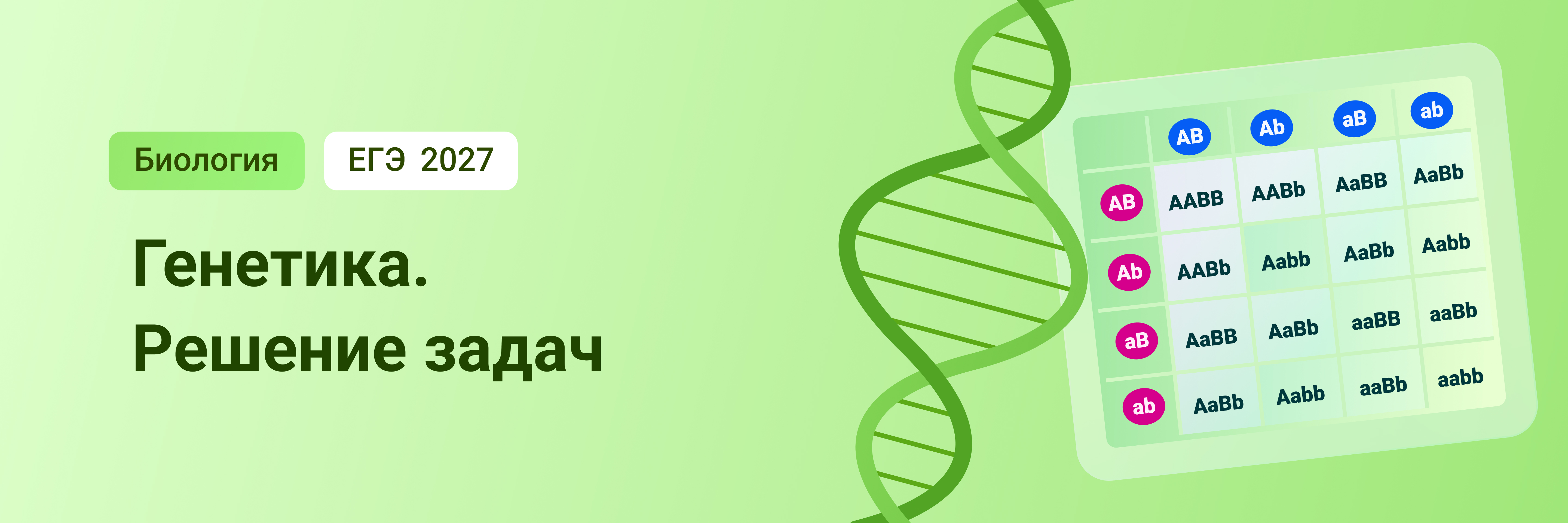 Баннер