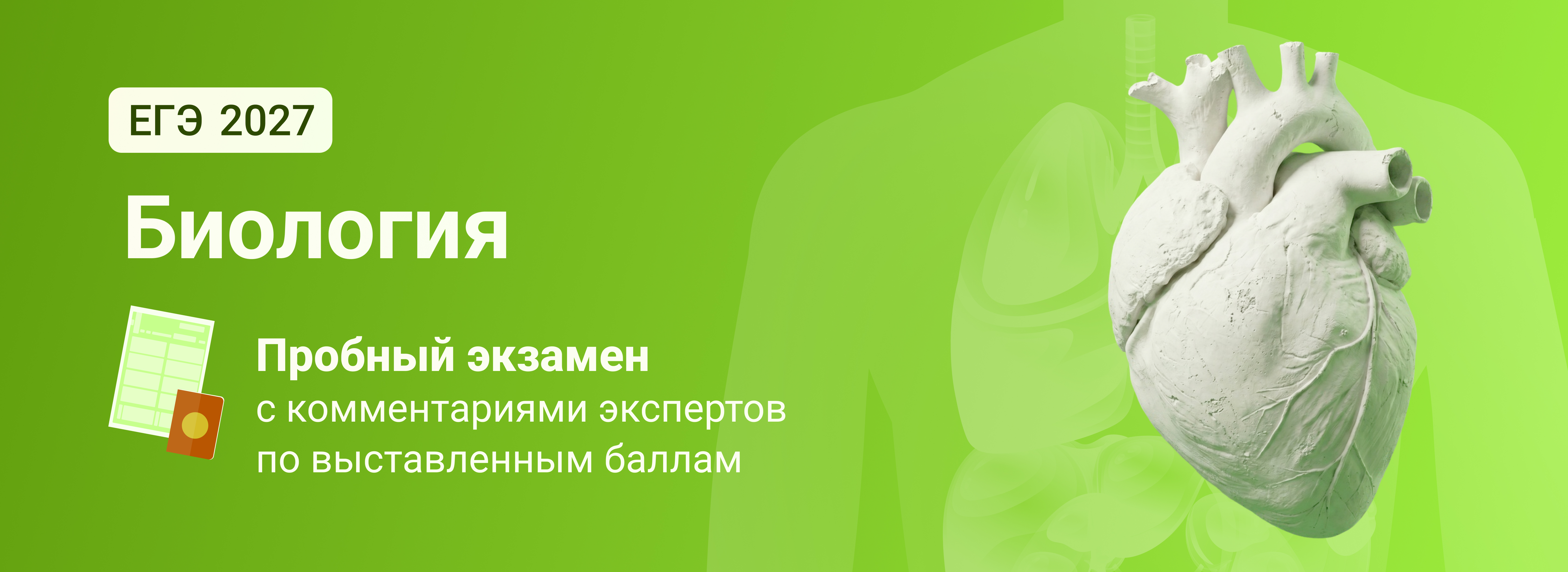 Баннер