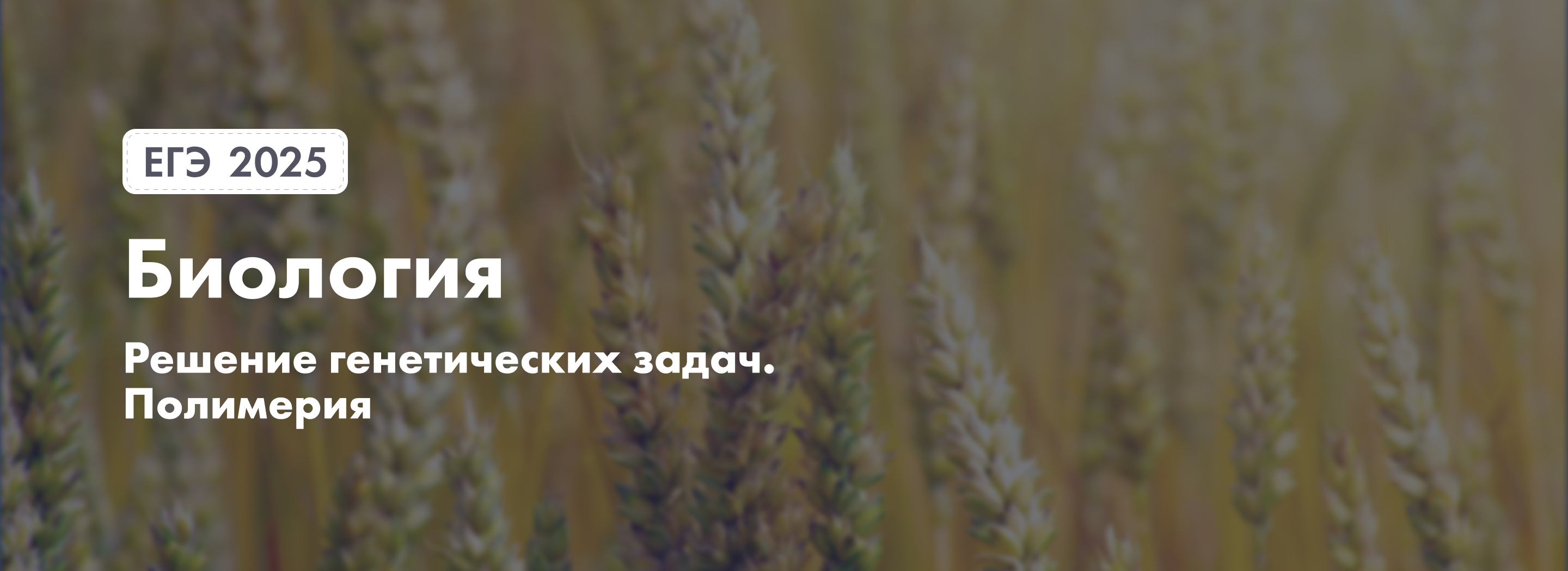 Баннер