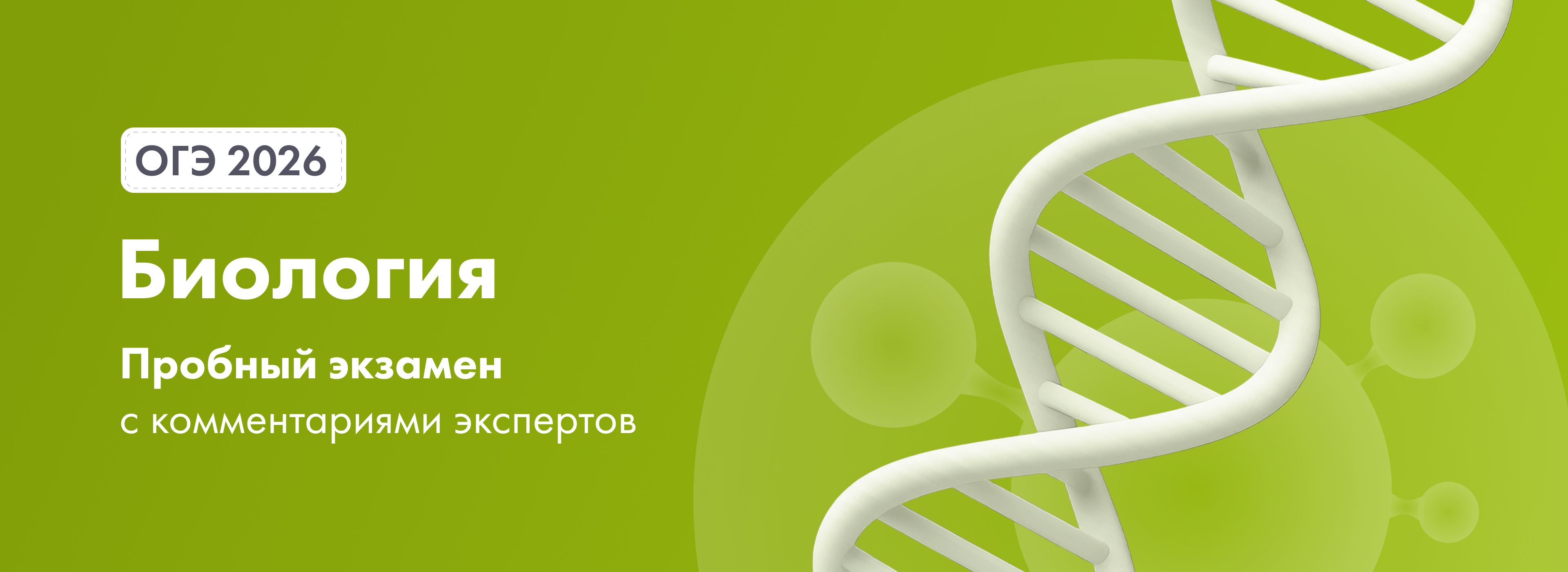 Баннер