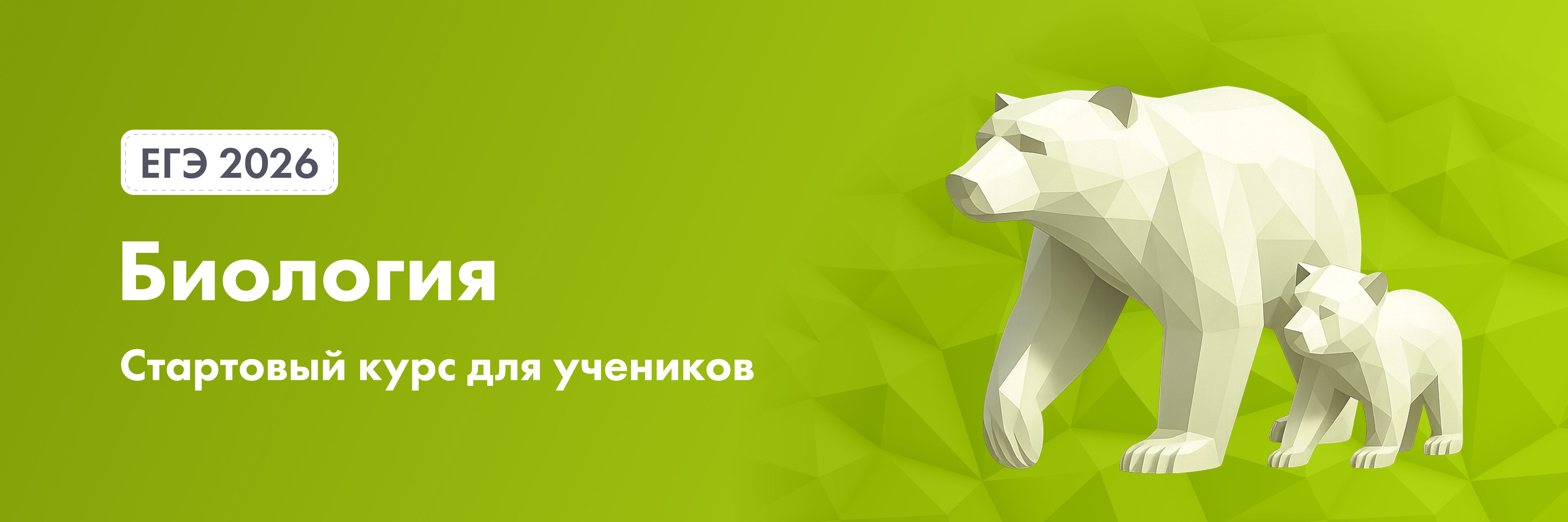 Баннер