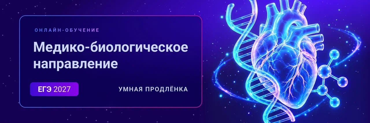 Баннер