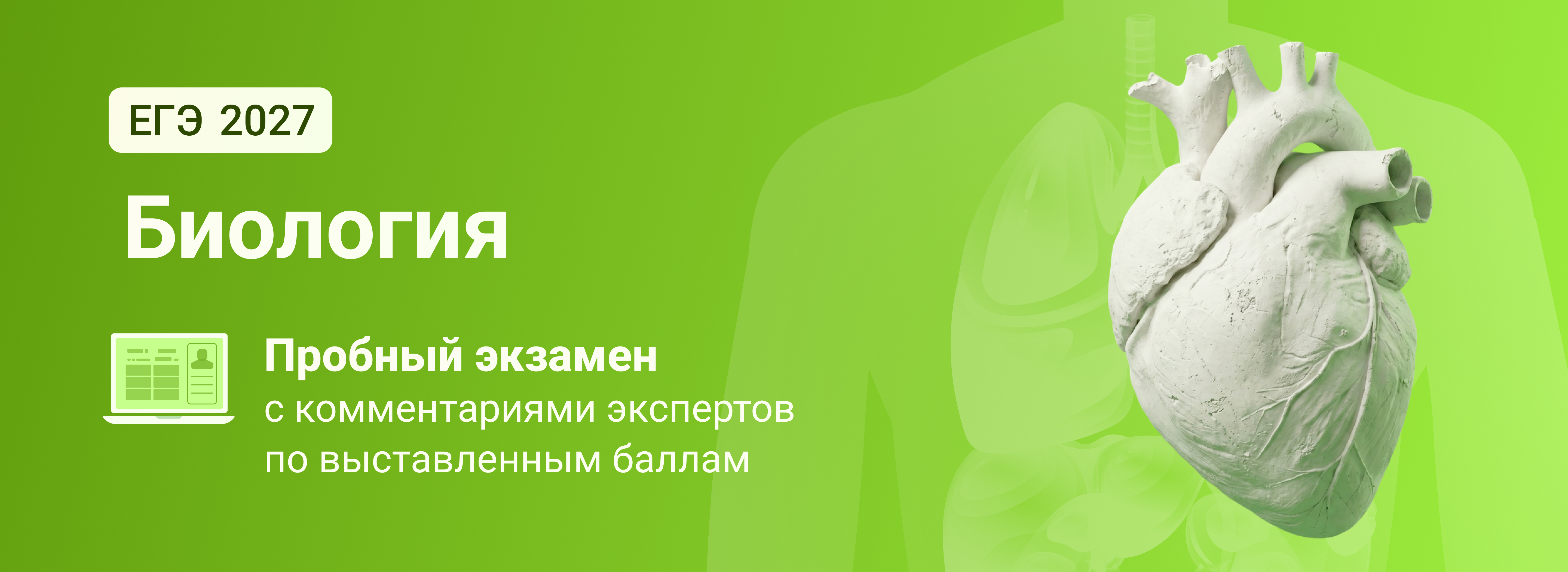 Баннер