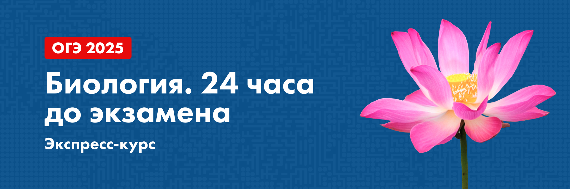 Баннер