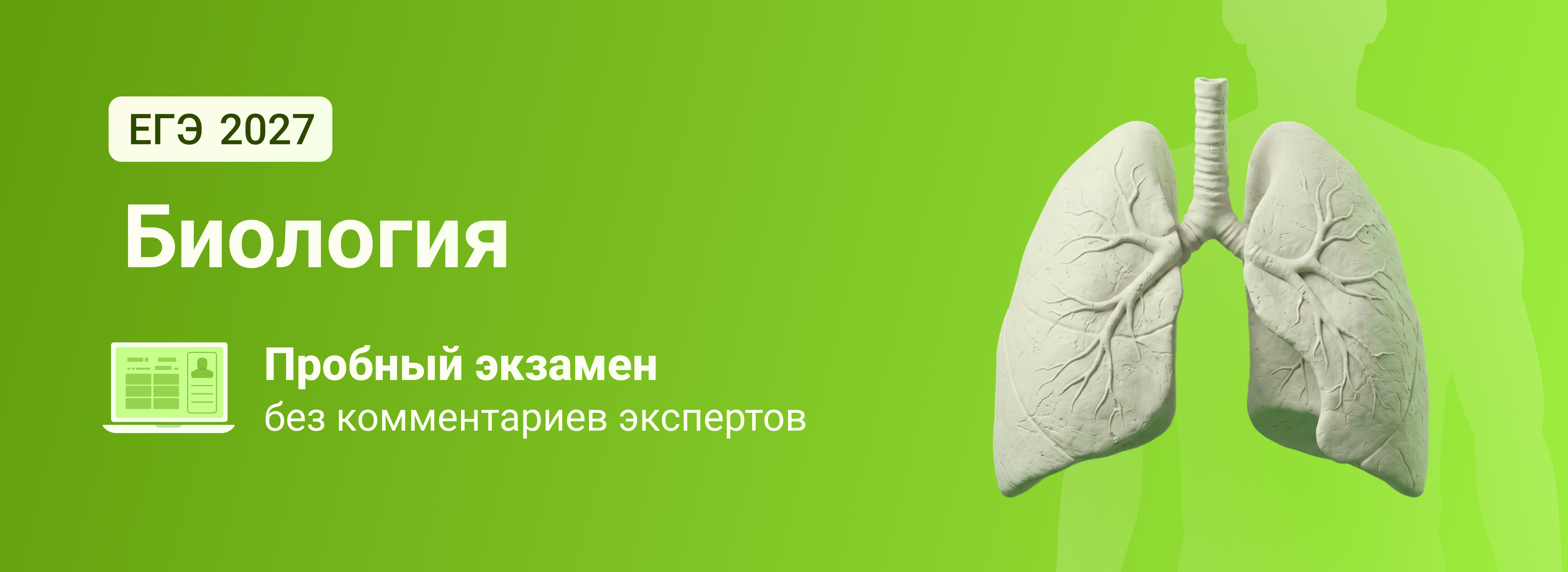 Баннер