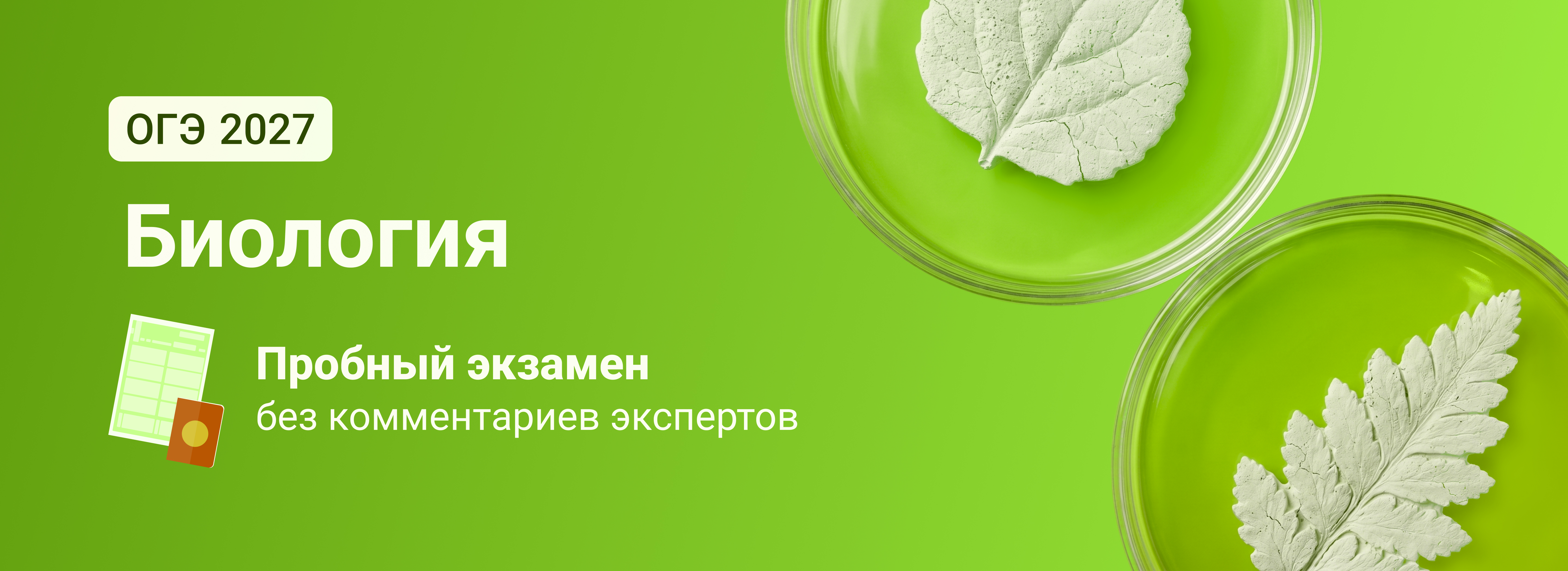 Баннер