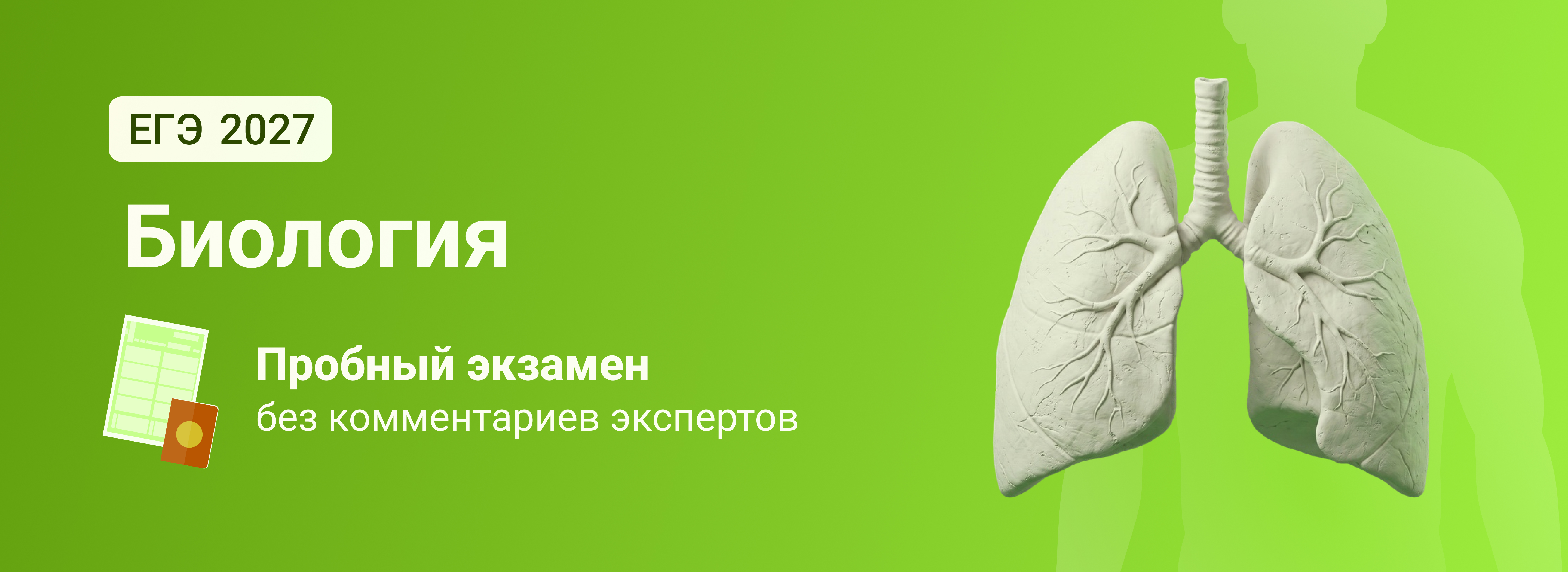 Баннер